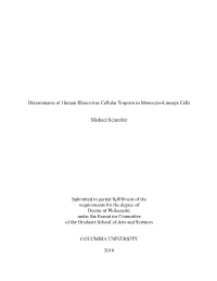 5 Michael Schreiber Dissertation V3-NLM Formatted Illustrated