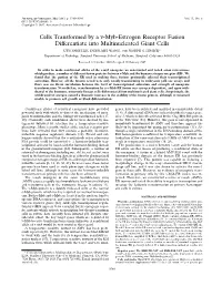 Cells Transformed by a V-Myb-Estrogen Receptor Fusion Differentiate Into Multinucleated Giant Cells