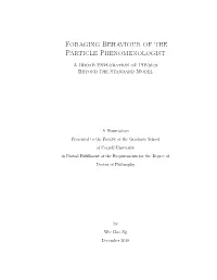Foraging Behaviour of the Particle Phenomenologist