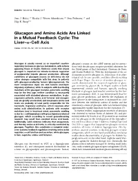 Glucagon and Amino Acids Are Linked in a Mutual Feedback Cycle: the Liver–A-Cell Axis