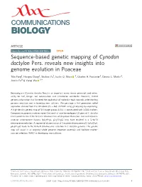 Sequence-Based Genetic Mapping of Cynodon Dactylon Pers. Reveals New Insights Into Genome Evolution in Poaceae