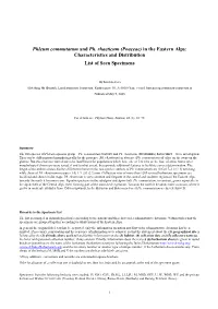 Phleum Commutatum and Ph. Rhaeticum (Poaceae) in the Eastern Alps: Characteristics and Distribution List of Seen Specimens