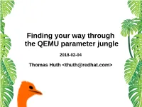 QEMU Parameter Jungle Slides