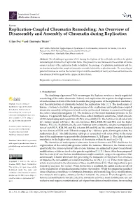 Replication-Coupled Chromatin Remodeling: an Overview of Disassembly and Assembly of Chromatin During Replication