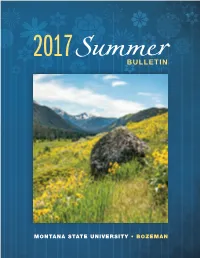 Summerbulletin