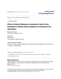 Effects of Dietary Thiaminase on Reproductive Traits in Three Populations of Atlantic Salmon Targeted for Reintroduction Into Lake Ontario