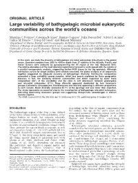 Large Variability of Bathypelagic Microbial Eukaryotic Communities Across the World’S Oceans