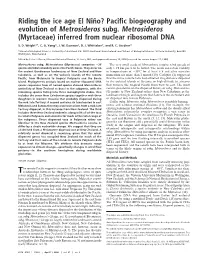 Metrosideros.Pdf