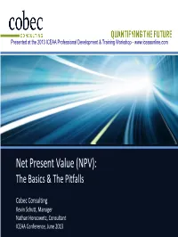 Net Present Value (NPV): the Basics & the Pitfalls