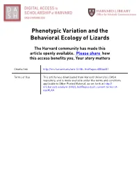 Phenotypic Variation and the Behavioral Ecology of Lizards