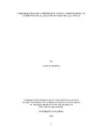 Congo’ Consecrations: an Anthropological Analysis of Cuban Reglas Congas