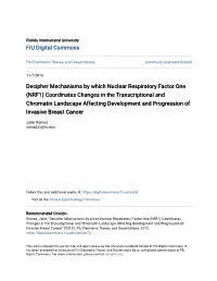 NRF1) Coordinates Changes in the Transcriptional and Chromatin Landscape Affecting Development and Progression of Invasive Breast Cancer