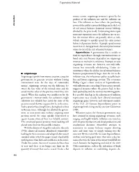 Seigniorage Is Profit from Money Creation, a Way for Governments To