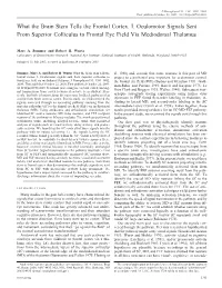 What the Brain Stem Tells the Frontal Cortex. I. Oculomotor Signals Sent from Superior Colliculus to Frontal Eye Field Via Mediodorsal Thalamus