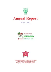 Annual Report 12-13