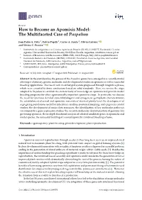 How to Become an Apomixis Model: the Multifaceted Case of Paspalum
