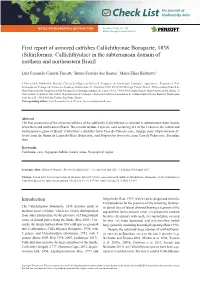 Siluriformes: Callichthyidae) in the Subterranean Domain of Northern and Northeastern Brazil