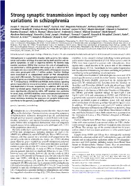 Strong Synaptic Transmission Impact by Copy Number Variations in Schizophrenia