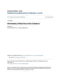 Self-Similarity of Mean Flow in Pipe Turbulence