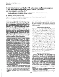 Adenosine-Proflavine Complex: a Self-Paired Parallel-Chain