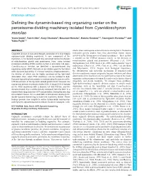 Defining the Dynamin-Based Ring Organizing Center on The