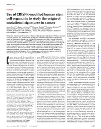 Use of CRISPR-Modified Human Stem Cell Organoids to Study the Origin Of