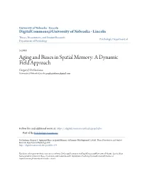 Aging and Biases in Spatial Memory: a Dynamic Field Approach Gregory J