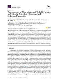 Developments of Riboswitches and Toehold Switches for Molecular Detection—Biosensing and Molecular Diagnostics