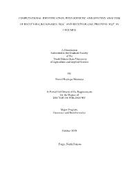 “Rlk” and Receptor-Like Proteins L