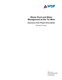 Waste Rock and Water Management at the Tio Mine Summary of the Project Description