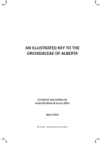 An Illustrated Key to the Orchidaceae of Alberta