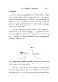 Carbohydrate Metabolism Lec.1