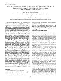 CERAMIALES, RHODOPHYTA) BASED on LARGE SUBUNIT Rdna and Rbcl SEQUENCES, INCLUDING the PHYCODRYOIDEAE, SUBFAM