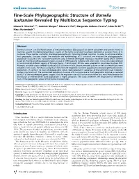 Fine-Scale Phylogeographic Structure of Borrelia Lusitaniae Revealed by Multilocus Sequence Typing