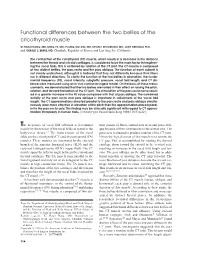 Functional Differences Between the Two Bellies of the Cricothyroid Muscle