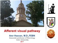 Afferent Visual Pathway Amr Hassan, M.D.,FEBN Associate Professor of Neurology Cairo University 2017