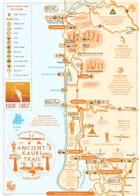 Ancient Kauri Trail
