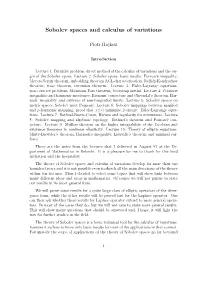 Sobolev Spaces and Calculus of Variations