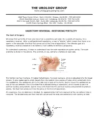 Vasectomy Reversal-Restoring Fertility