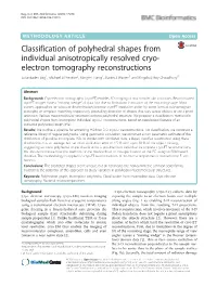 Classification of Polyhedral Shapes from Individual Anisotropically