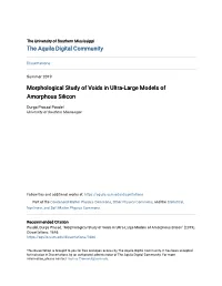 Morphological Study of Voids in Ultra-Large Models of Amorphous Silicon