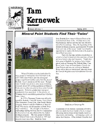 Tam Kernewek in the Months Ahead