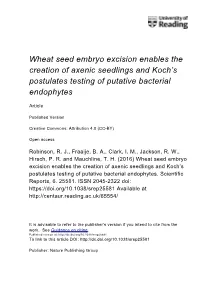 Wheat Seed Embryo Excision Enables the Creation of Axenic Seedlings and Koch’S Postulates Testing of Putative Bacterial Endophytes