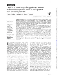 CREB/PKA Sensitive Signalling Pathways Activate and Maintain
