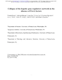 Collapse of the Hepatic Gene Regulatory Network in the Absence of Foxa Factors