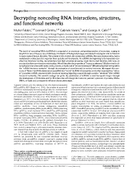 Decrypting Noncoding RNA Interactions, Structures, and Functional Networks