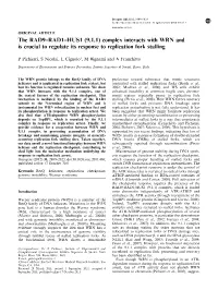 Complex Interacts with WRN and Is Crucial to Regulate Its Response to Replication Fork Stalling