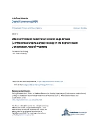 Effect of Predator Removal on Greater Sage-Grouse (Centrocercus Urophasianus) Ecology in the Bighorn Basin Conservation Area of Wyoming