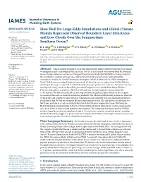 How Well Do Large‐Eddy Simulations and Global Climate Models
