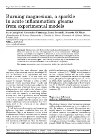 Burning Magnesium, a Sparkle in Acute Inflammation: Gleams from Experimental Models